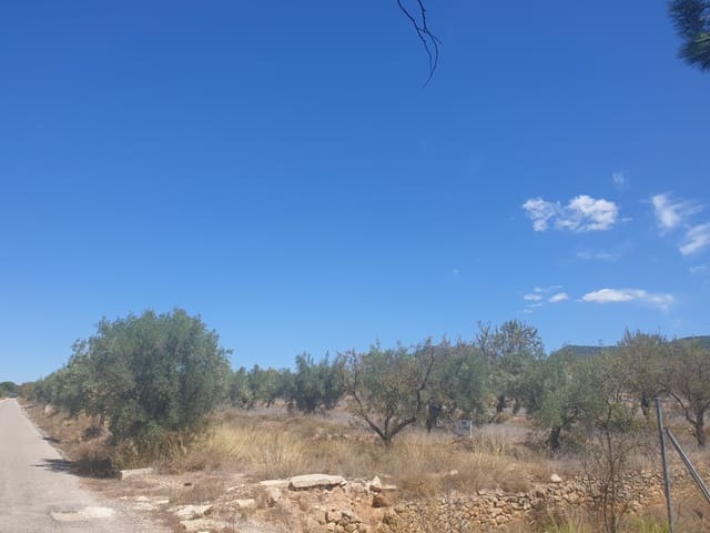 Terre non Aménagée à vendre à Biar - 29 995 € (Ref: 7723127)