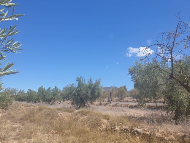 Terre non Aménagée à vendre à Biar - 29 995 € (Ref: 7723127)