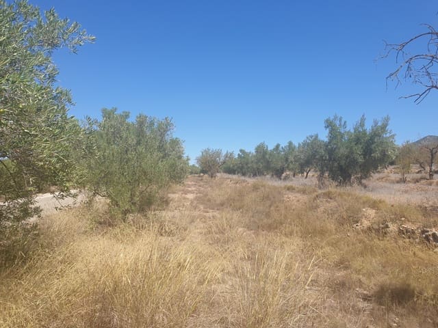 Terre non Aménagée à vendre à Biar - 29 995 € (Ref: 7723127)