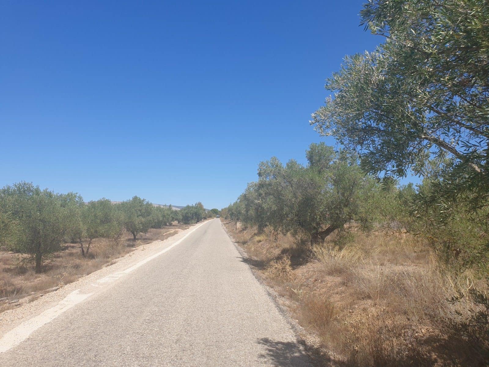 Undeveloped Land for sale in Biar - € 29,995 (Ref: 7723127)