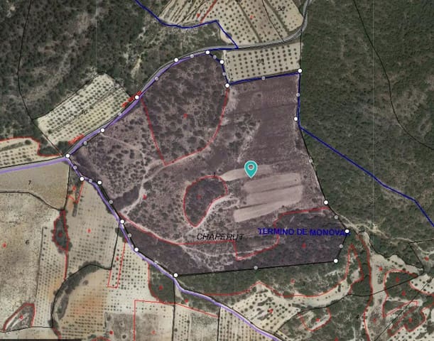 Terreno Non Edificato in vendita in Monóvar / Monóver - 119.995 € (Rif: 8098558)