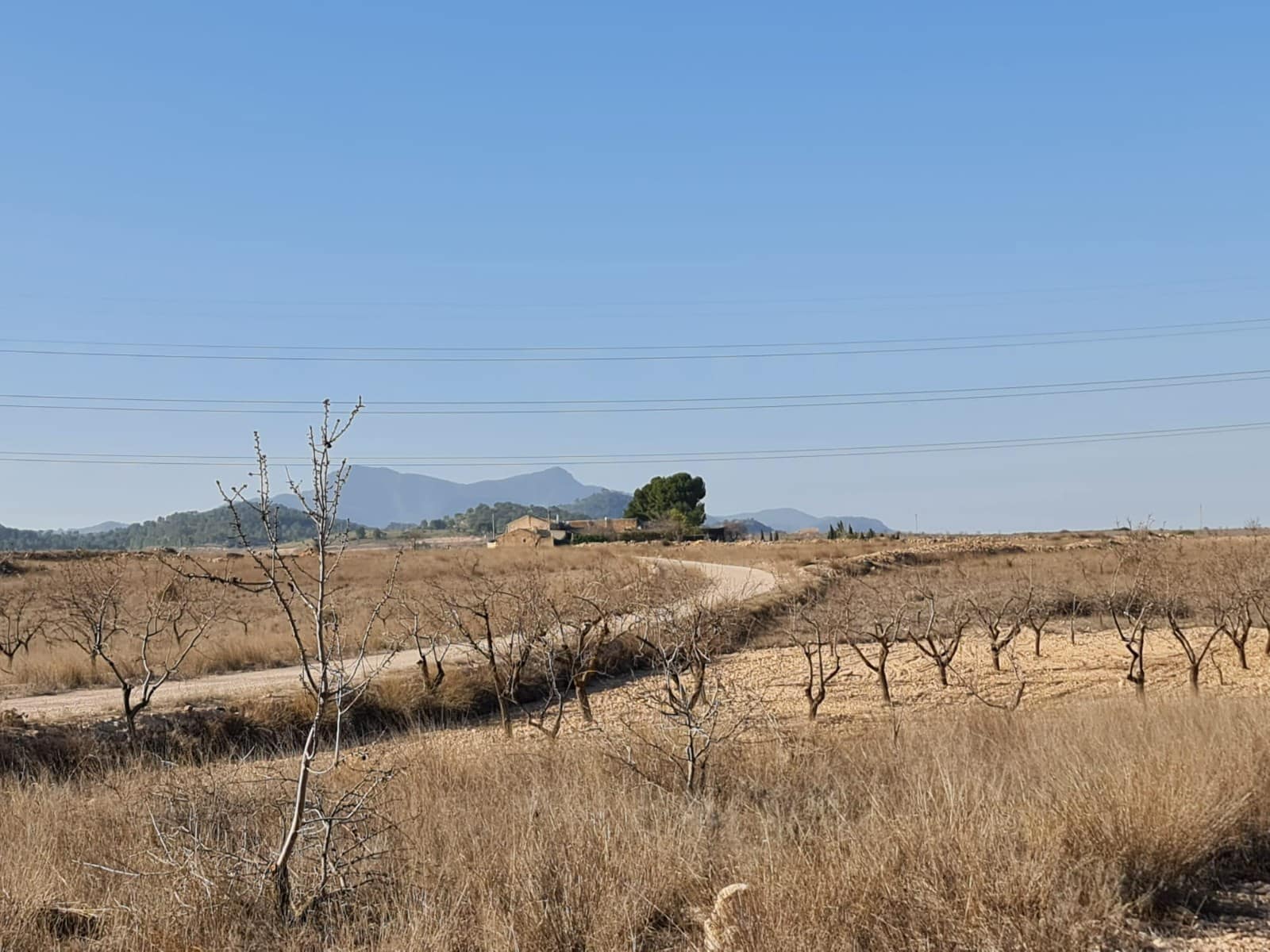 Terre non Aménagée à vendre à Jumilla - 17 995 € (Ref: 8099416)