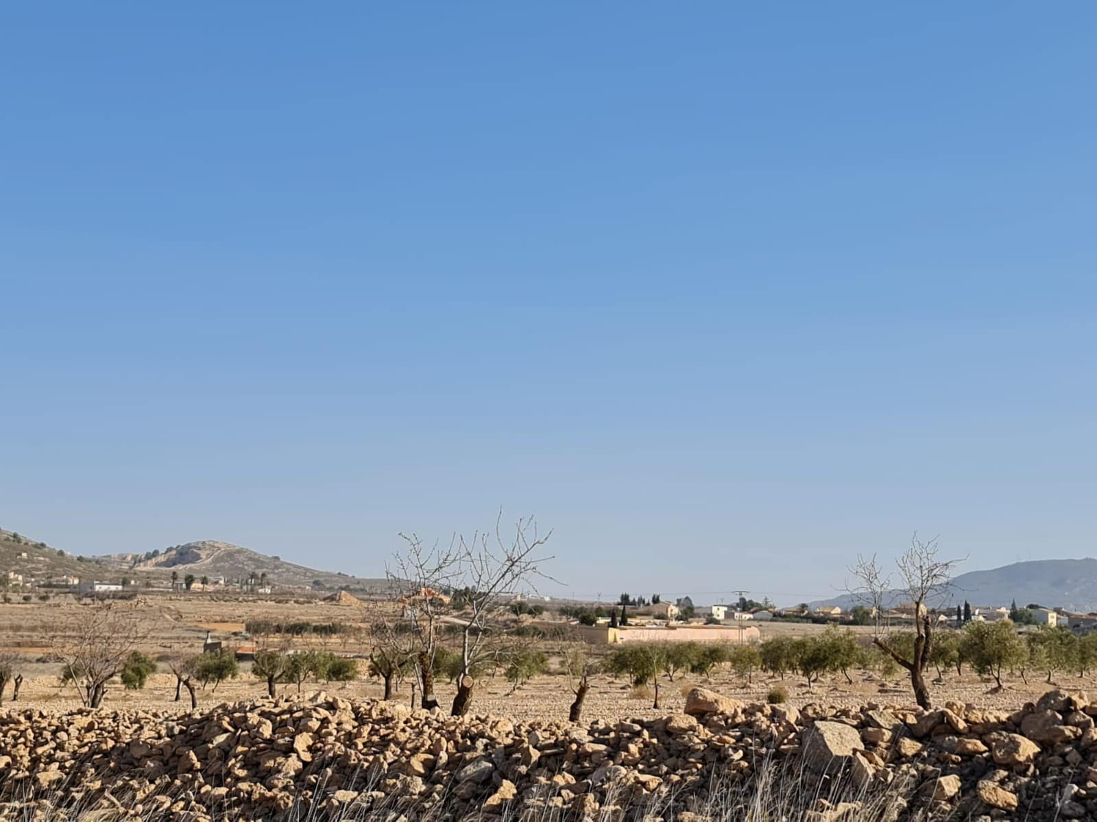 Terre non Aménagée à vendre à Jumilla - 17 995 € (Ref: 8099416)