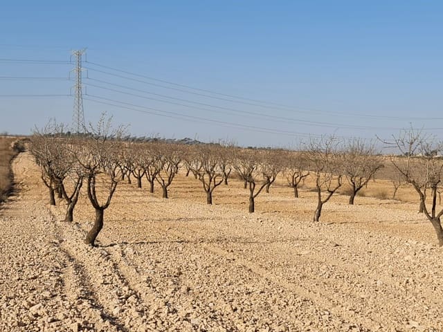 Undeveloped Land for sale in Jumilla - € 17,995 (Ref: 8099416)