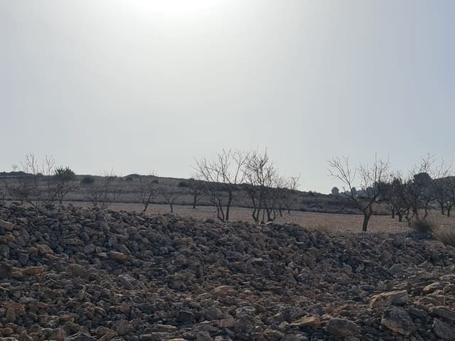Undeveloped Land for sale in Jumilla - € 17,995 (Ref: 8099416)