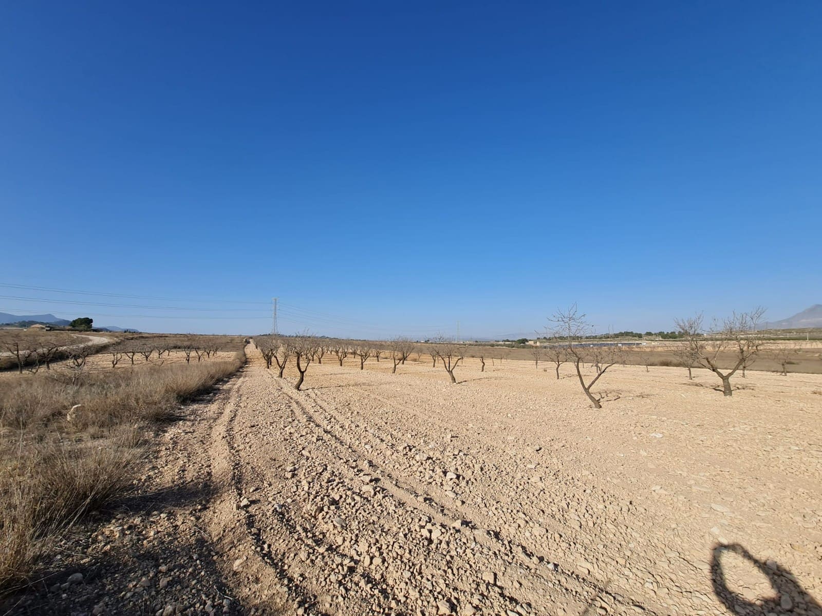 Terre non Aménagée à vendre à Jumilla - 17 995 € (Ref: 8099416)