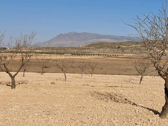Undeveloped Land for sale in Jumilla - € 17,995 (Ref: 8099416)