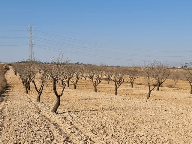 Undeveloped Land for sale in Jumilla - € 17,995 (Ref: 8099416)