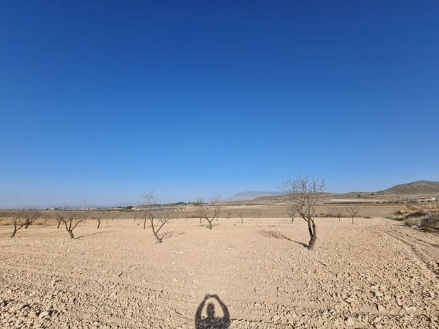 Grunde uden byggetilladelser til salg i Jumilla - € 17.995 (Ref: 8099416)