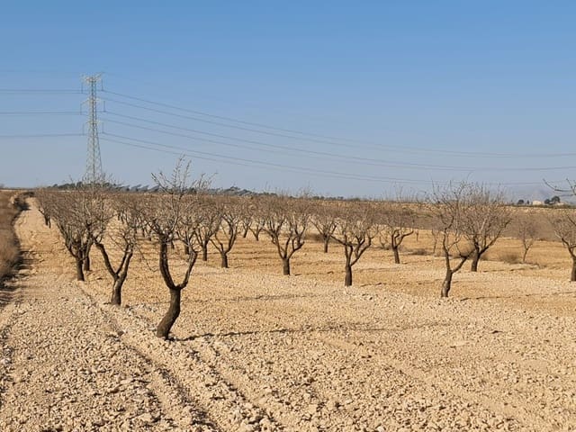 Grunde uden byggetilladelser til salg i Jumilla - € 17.995 (Ref: 8099416)