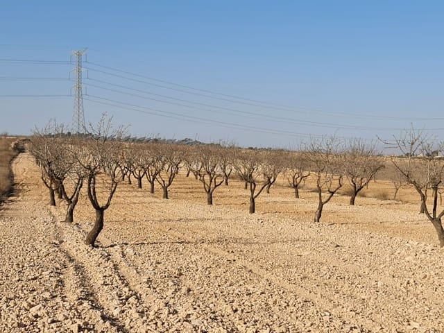 Grunde uden byggetilladelser til salg i Jumilla - € 17.995 (Ref: 8099416)