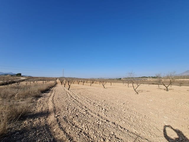 Grunde uden byggetilladelser til salg i Jumilla - € 17.995 (Ref: 8099416)