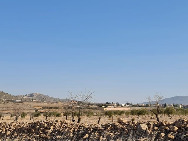 Terre non Aménagée à vendre à Jumilla - 17 995 € (Ref: 8099416)
