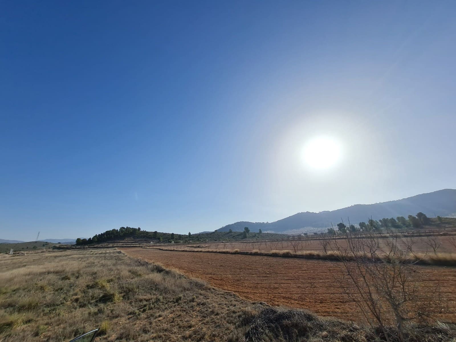 Landgrundstück zu verkaufen in Jumilla - 27.995 € (Ref: 8099417)