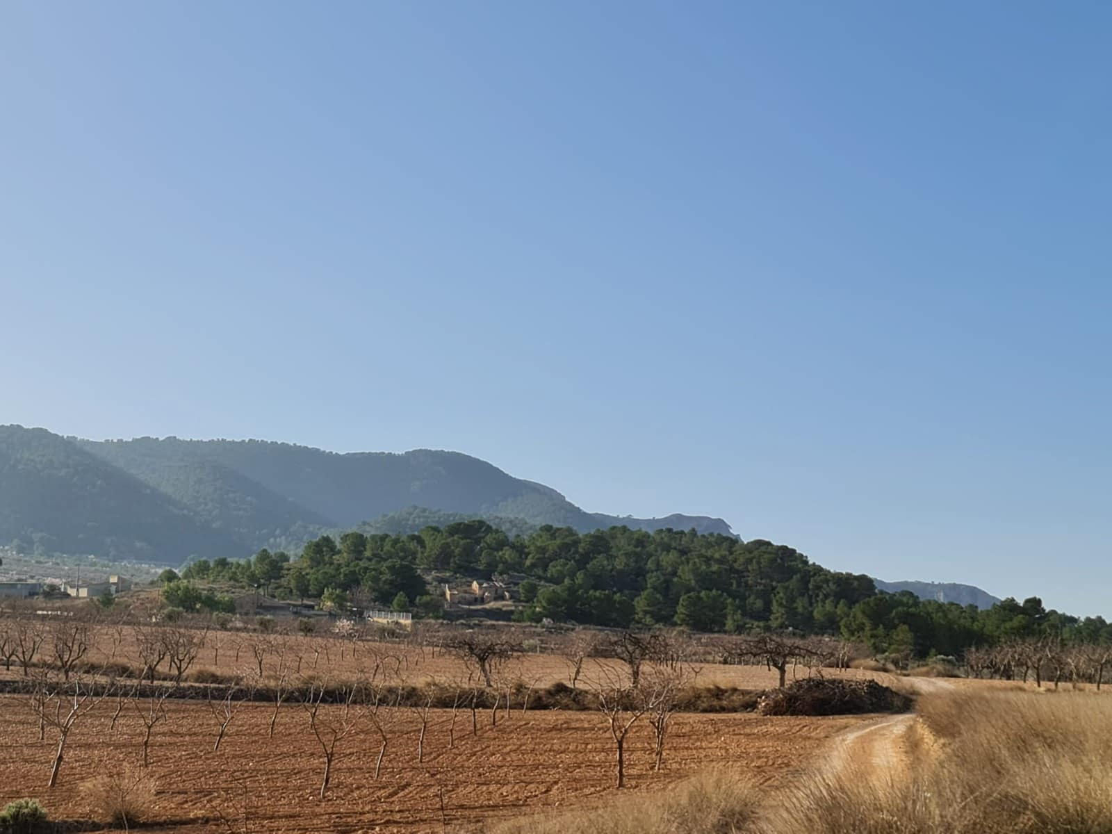 Landgrundstück zu verkaufen in Jumilla - 27.995 € (Ref: 8099417)