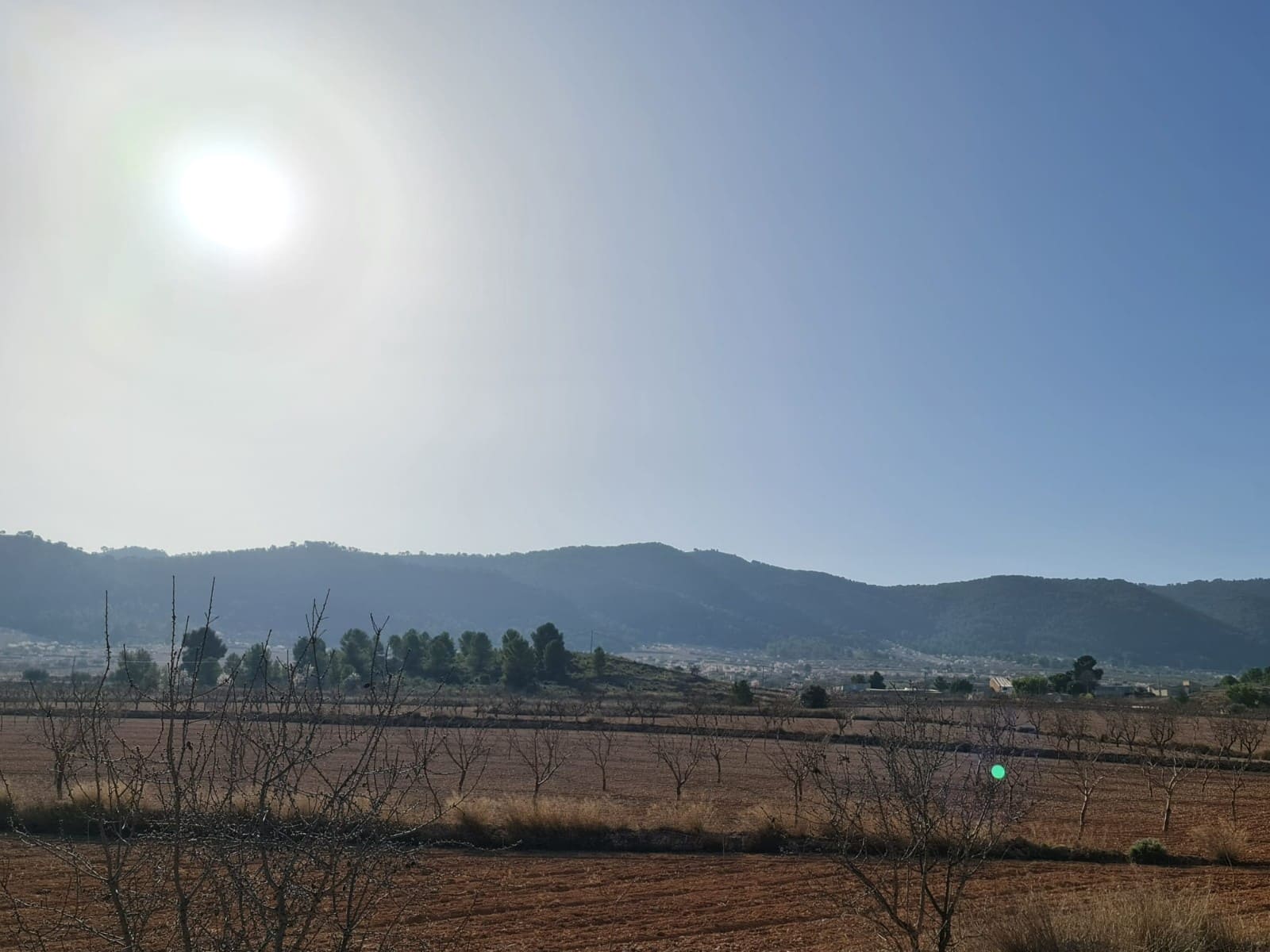 Landgrundstück zu verkaufen in Jumilla - 27.995 € (Ref: 8099417)
