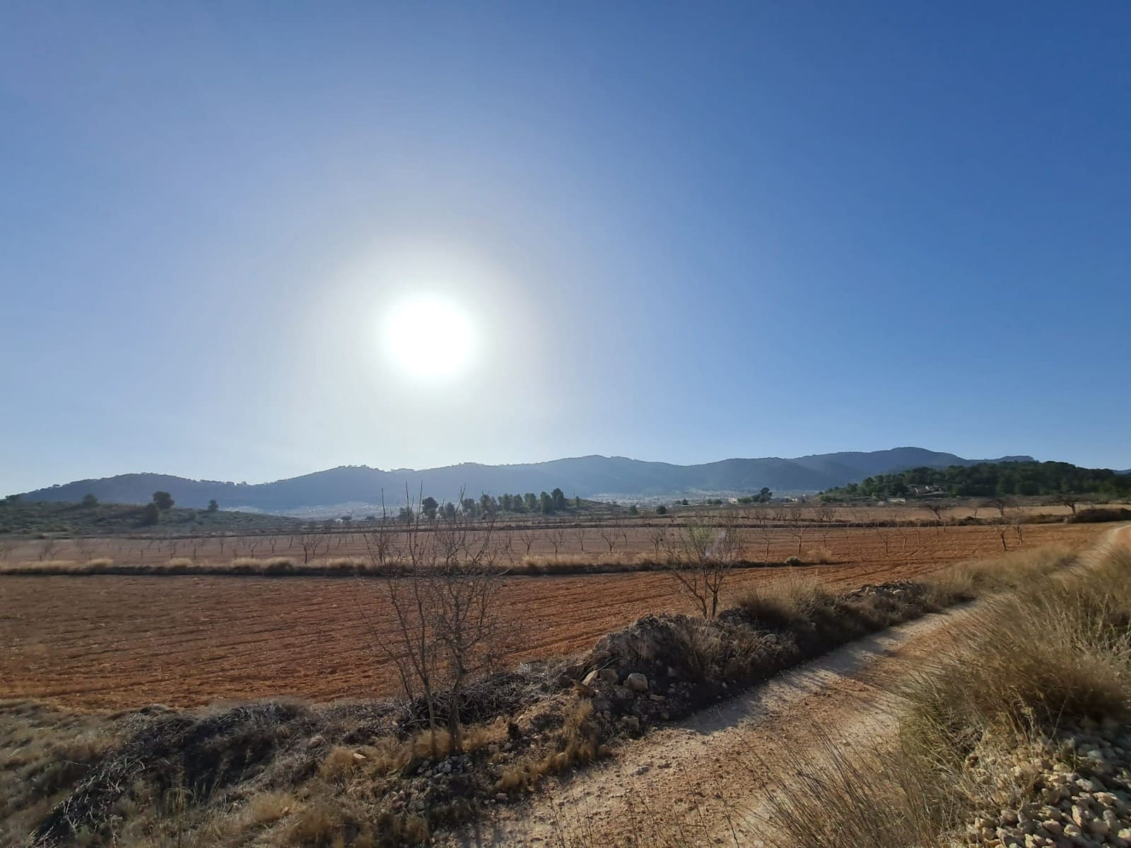Landgrundstück zu verkaufen in Jumilla - 27.995 € (Ref: 8099417)