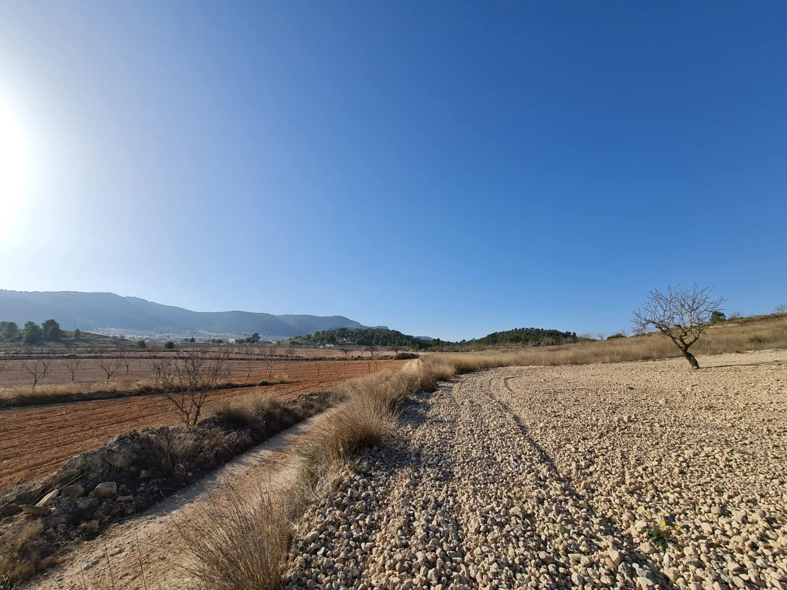 Landgrundstück zu verkaufen in Jumilla - 27.995 € (Ref: 8099417)