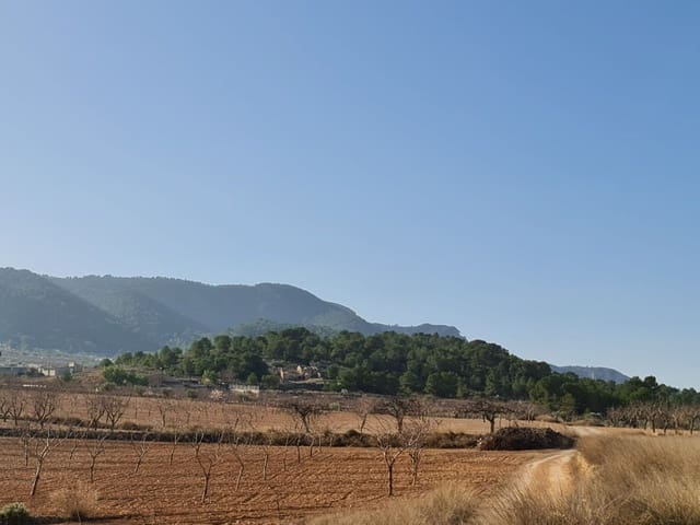 Grunde uden byggetilladelser til salg i Jumilla - € 27.995 (Ref: 8099417)
