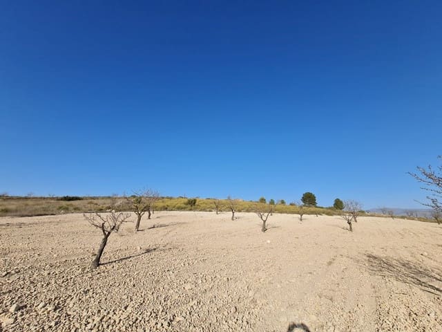 Grunde uden byggetilladelser til salg i Jumilla - € 27.995 (Ref: 8099417)