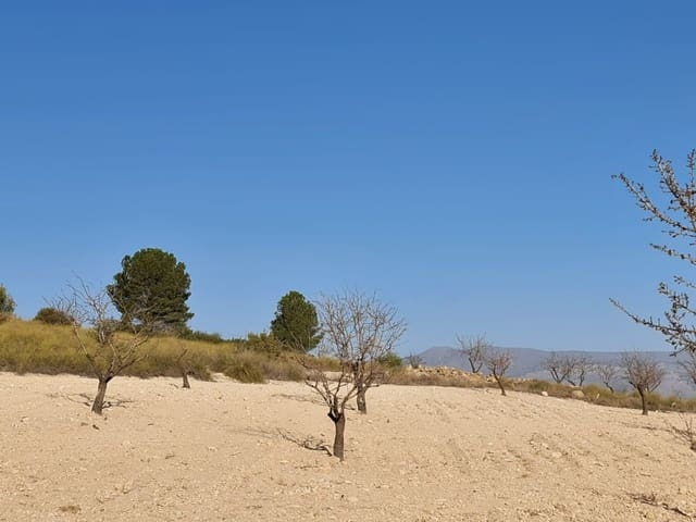 Grunde uden byggetilladelser til salg i Jumilla - € 27.995 (Ref: 8099417)