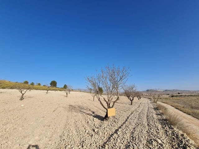 Terre non Aménagée à vendre à Jumilla - 27 995 € (Ref: 8099417)