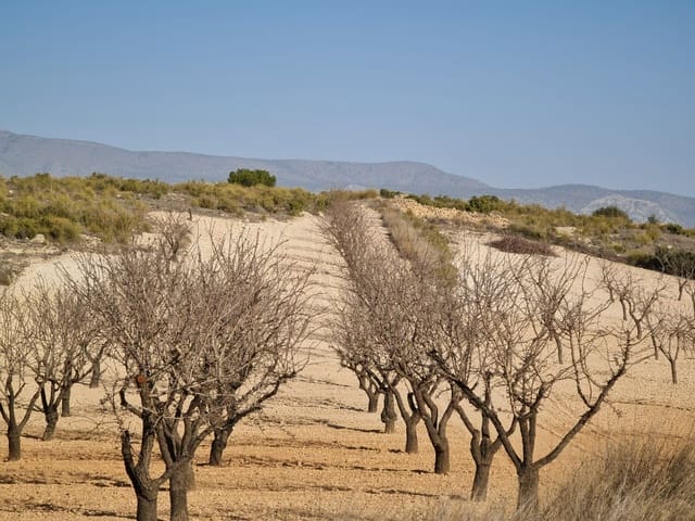 Undeveloped Land for sale in Jumilla - € 35,995 (Ref: 8099418)