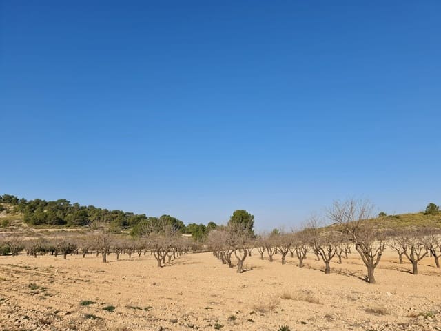 Undeveloped Land for sale in Jumilla - € 35,995 (Ref: 8099418)