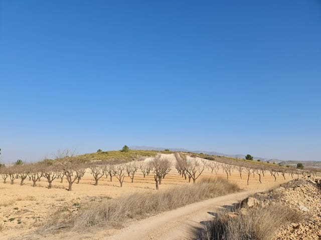 Undeveloped Land for sale in Jumilla - € 35,995 (Ref: 8099418)