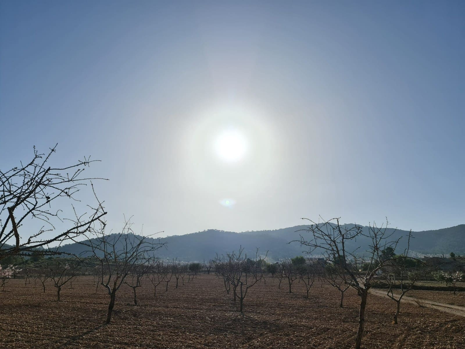 Undeveloped Land for sale in Jumilla - € 35,995 (Ref: 8099418)