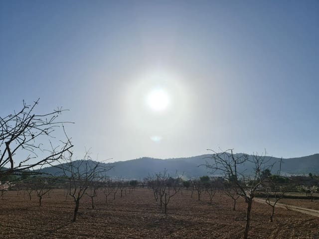 Undeveloped Land for sale in Jumilla - € 35,995 (Ref: 8099418)