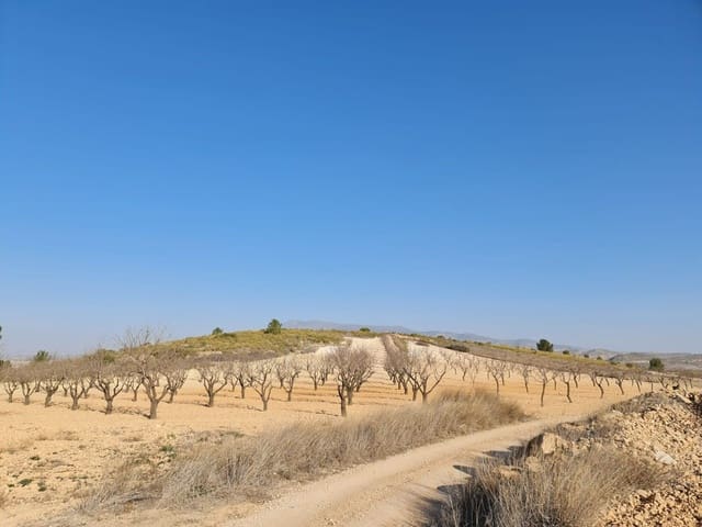 Grunde uden byggetilladelser til salg i Jumilla - € 35.995 (Ref: 8099418)