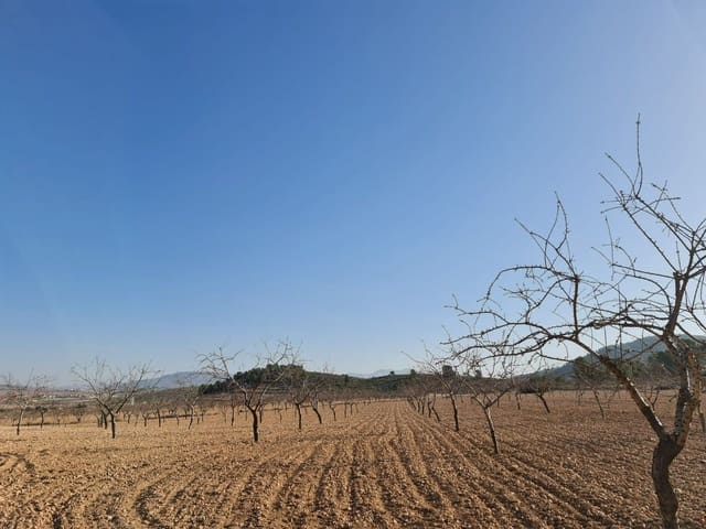 Grunde uden byggetilladelser til salg i Jumilla - € 35.995 (Ref: 8099418)
