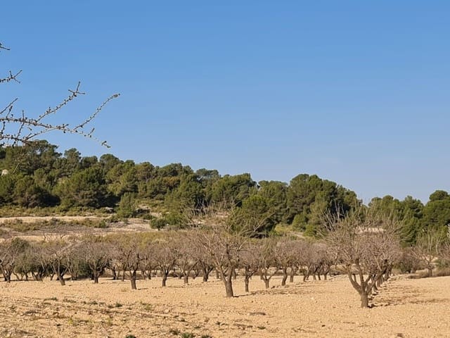 Grunde uden byggetilladelser til salg i Jumilla - € 35.995 (Ref: 8099418)