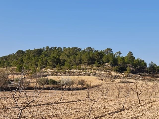 Grunde uden byggetilladelser til salg i Jumilla - € 35.995 (Ref: 8099418)