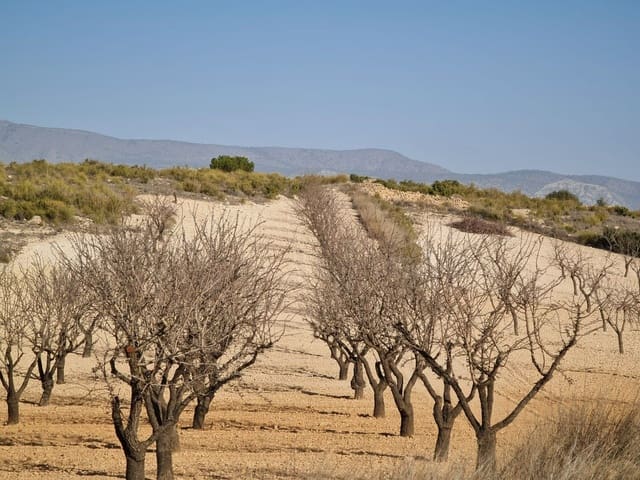 Grunde uden byggetilladelser til salg i Jumilla - € 35.995 (Ref: 8099418)
