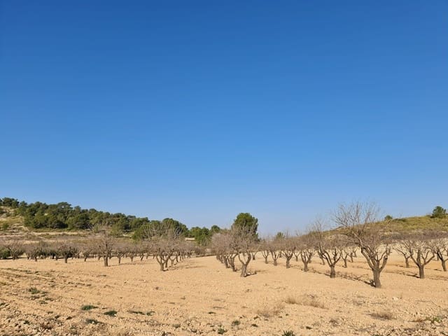 Grunde uden byggetilladelser til salg i Jumilla - € 35.995 (Ref: 8099418)
