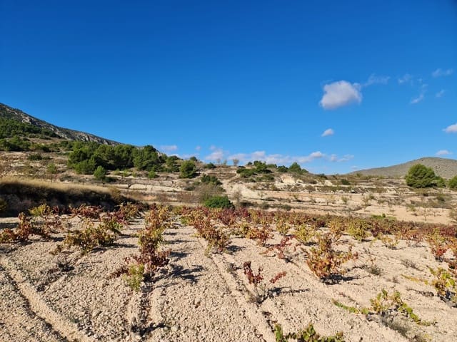 Grunde uden byggetilladelser til salg i La Romana - € 30.995 (Ref: 8099434)