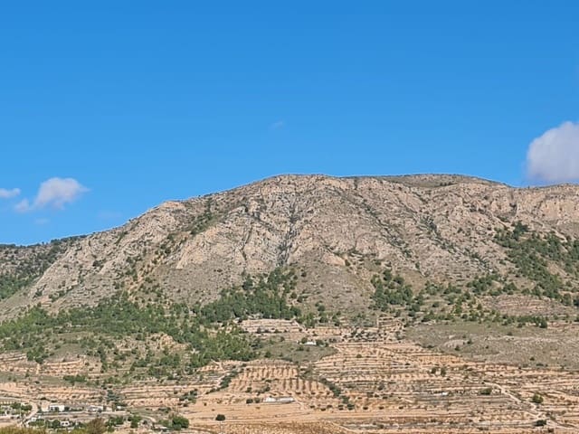 Mark till salu i La Romana - 30 995 € (Ref: 8099434)