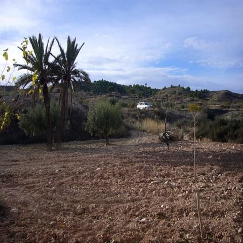 Ruin til salgs i Barinas, Abanilla - € 30 995 (Ref: 8099527)