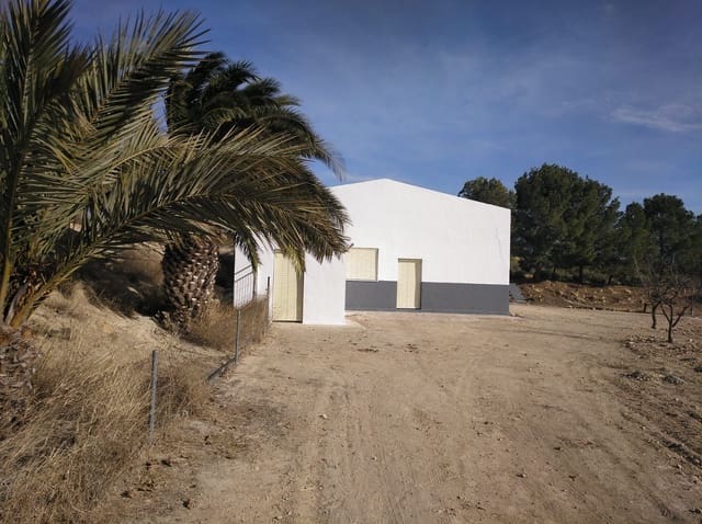 Kommersiell til salgs i Yecla - € 162 995 (Ref: 8168220)