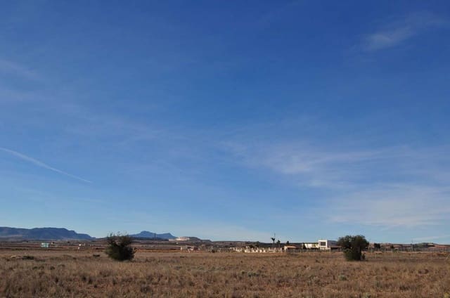Terreno Não Urbanizado para venda em Pinoso - 69 995 € (Ref: 8205186)
