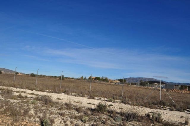 Terreno Não Urbanizado para venda em Pinoso - 69 995 € (Ref: 8205186)