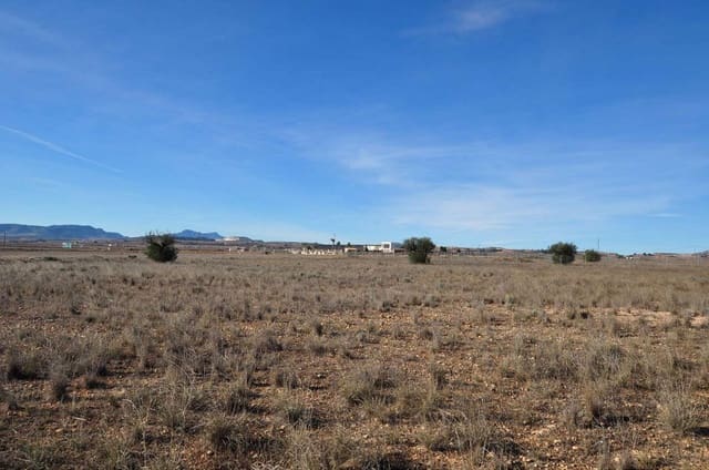 Terreno Não Urbanizado para venda em Pinoso - 69 995 € (Ref: 8205186)
