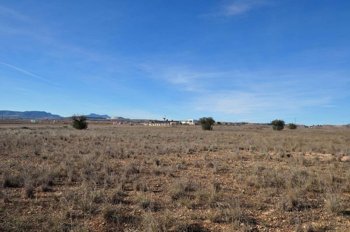 Undeveloped Land for sale in Pinoso - € 69,995 (Ref: 8205186)