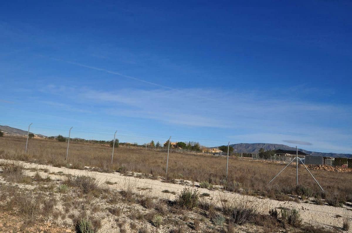 Undeveloped Land for sale in Pinoso - € 69,995 (Ref: 8205186)