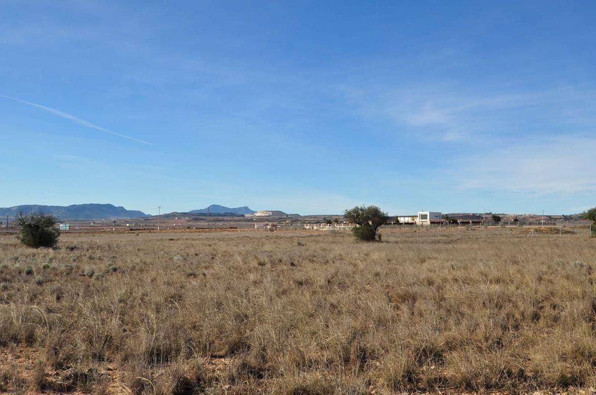 Undeveloped Land for sale in Pinoso - € 69,995 (Ref: 8205186)