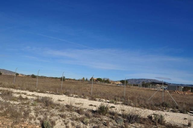 Mark till salu i Pinoso - 69 995 € (Ref: 8205186)