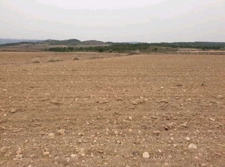 Undeveloped Land for sale in Pinoso - € 44,995 (Ref: 8293363)