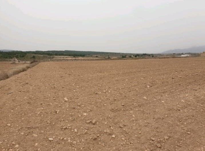 Undeveloped Land for sale in Pinoso - € 44,995 (Ref: 8293363)